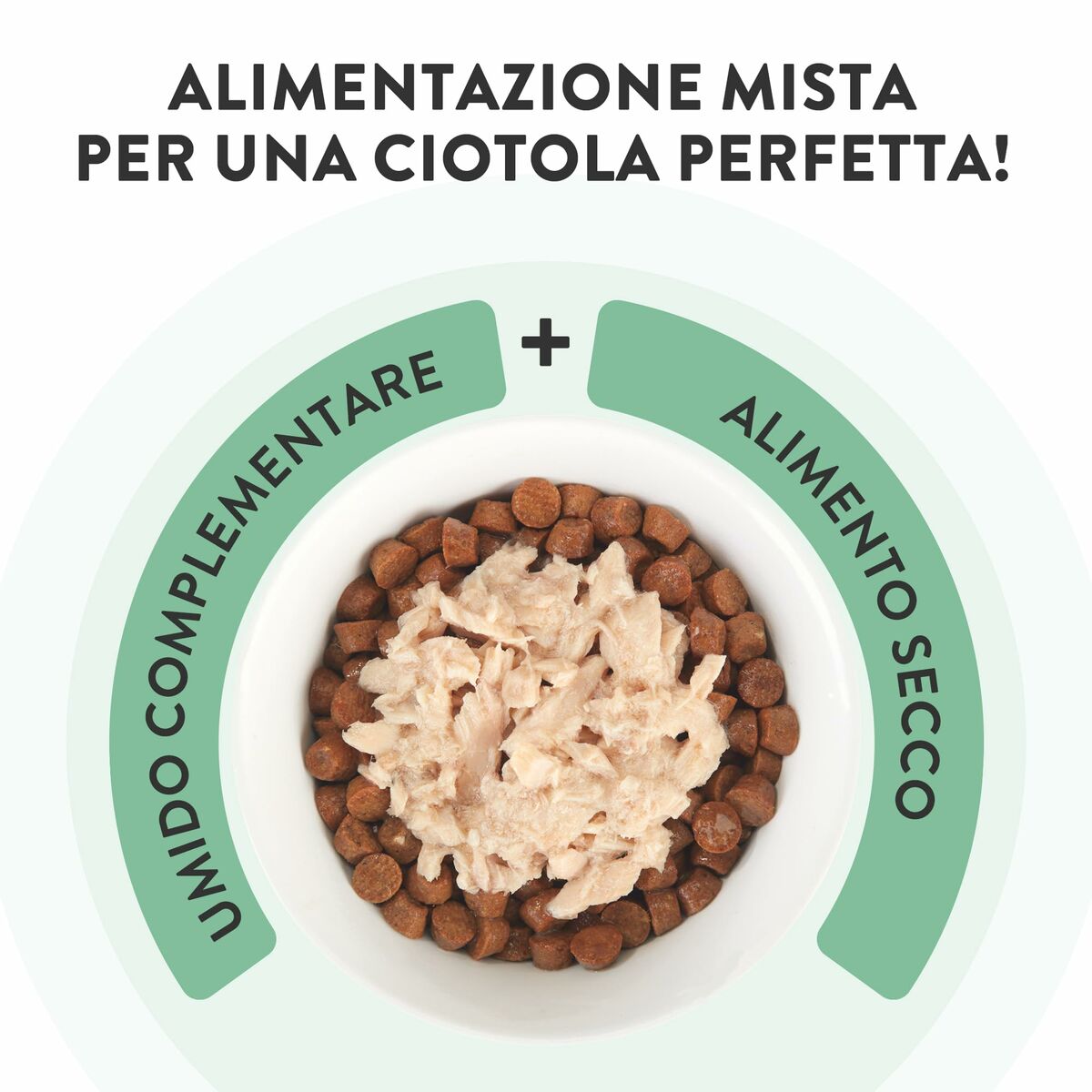 Cat food Agras Pet Foods-3