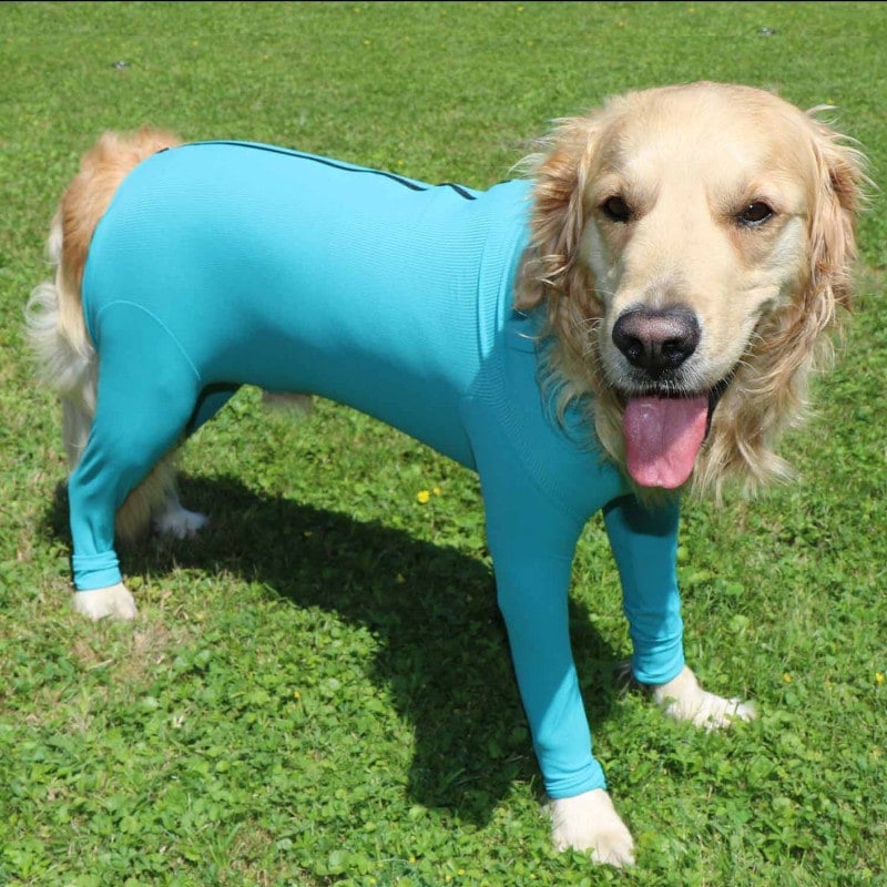 Body post-operatorio per cane "Legs & Zipper"