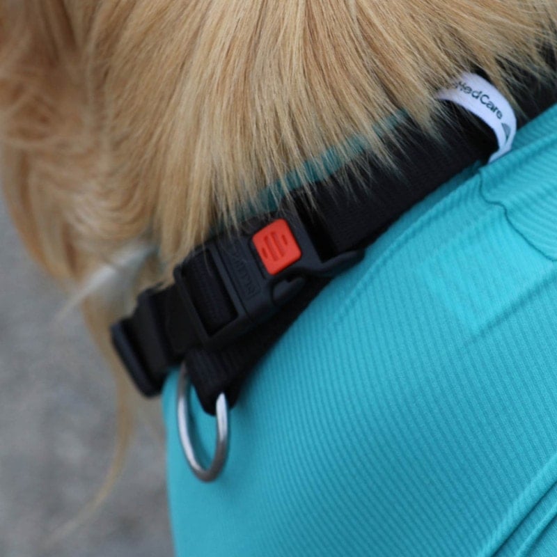 Body post-operatorio per cane "Legs & Zipper"