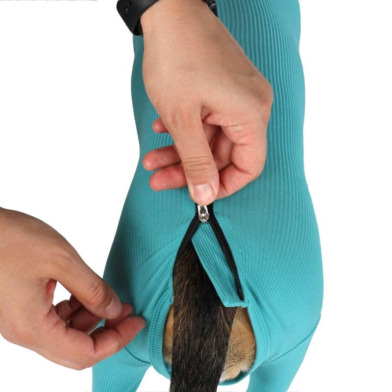 Body post-operatorio per cane "Legs & Zipper"