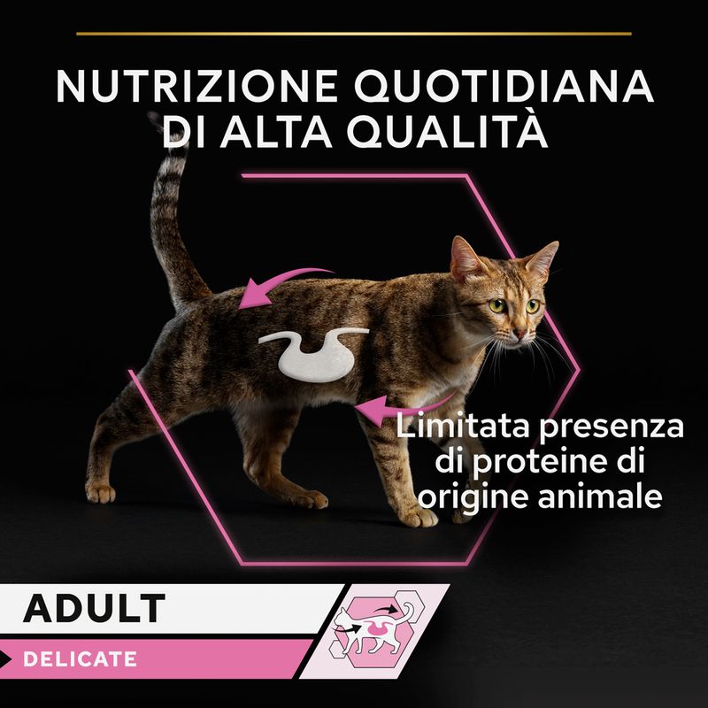 PURINA PRO PLAN Delicate umido per gatto