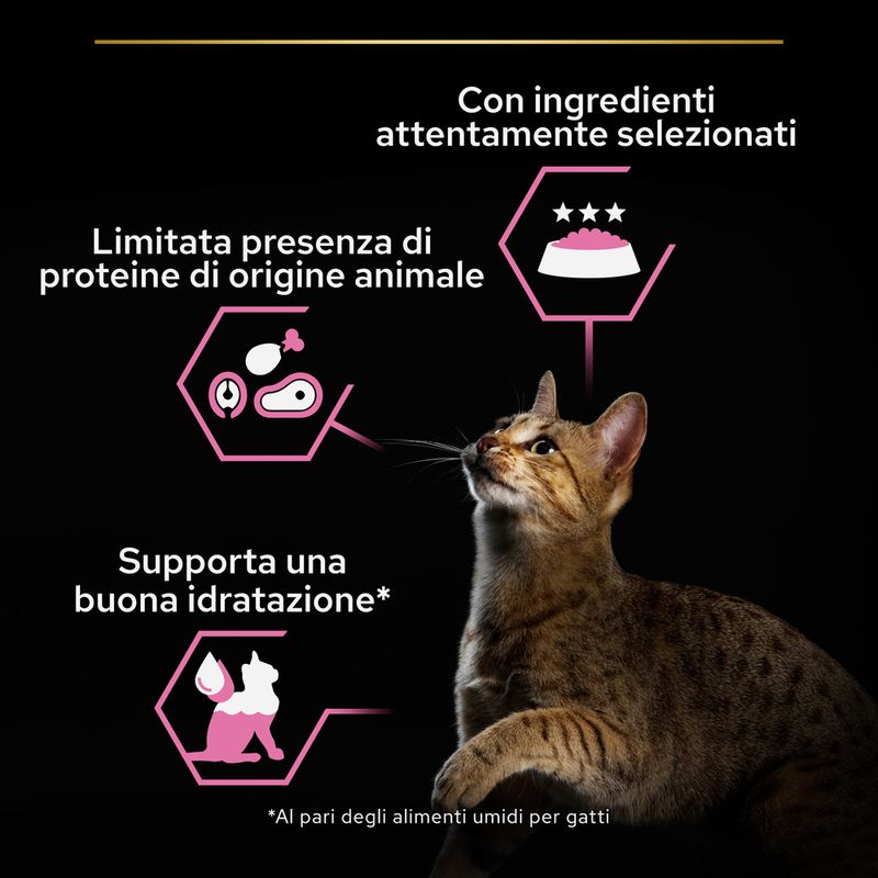 PURINA PRO PLAN Delicate umido per gatto