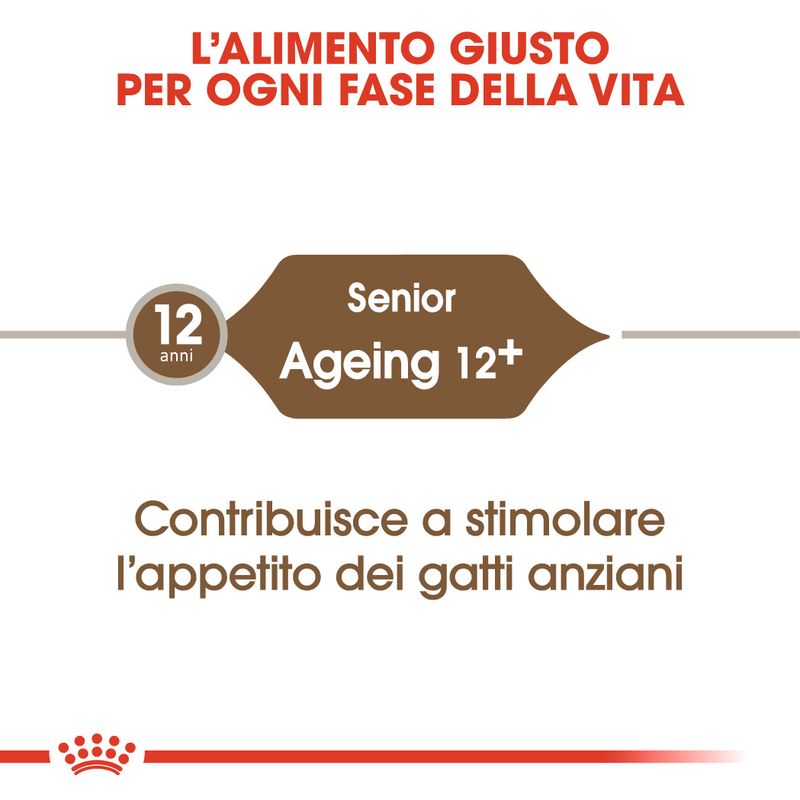 Royal Canin Ageing 12+ Crocchette per gatto