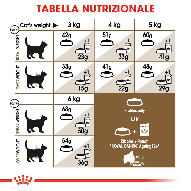 Royal Canin Ageing 12+ Crocchette per gatto