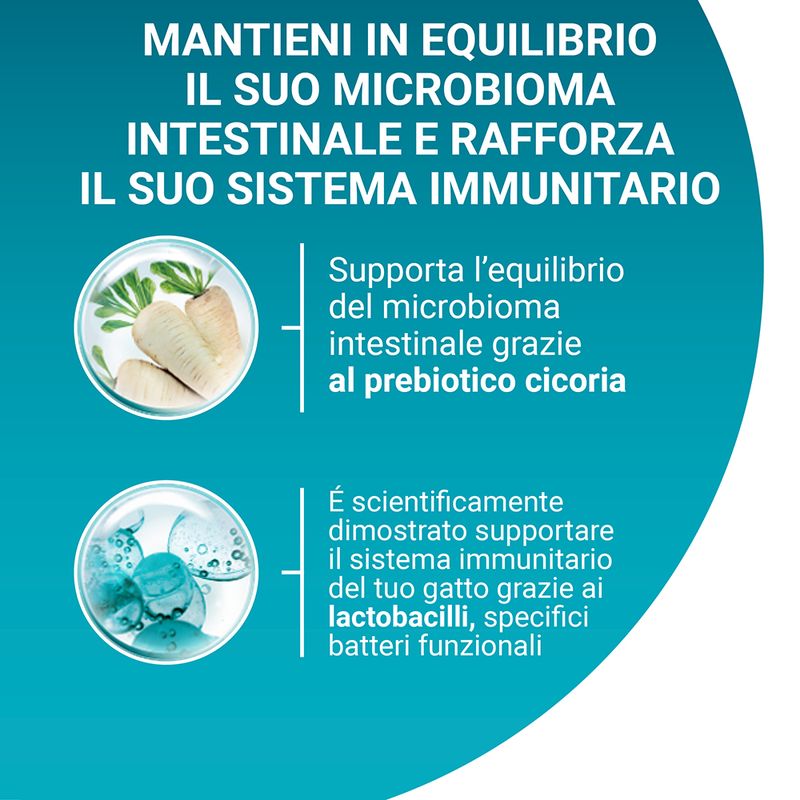 PURINA ONE Sterilcat Crocchette con Salmone per gatto