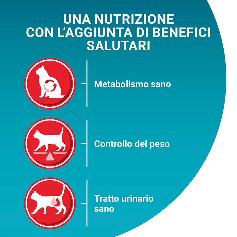 PURINA ONE Sterilcat Crocchette con Salmone per gatto