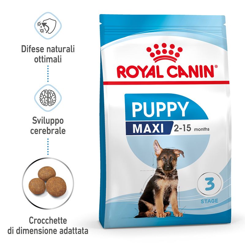 Royal Canin Maxi Puppy Crocchette per cane