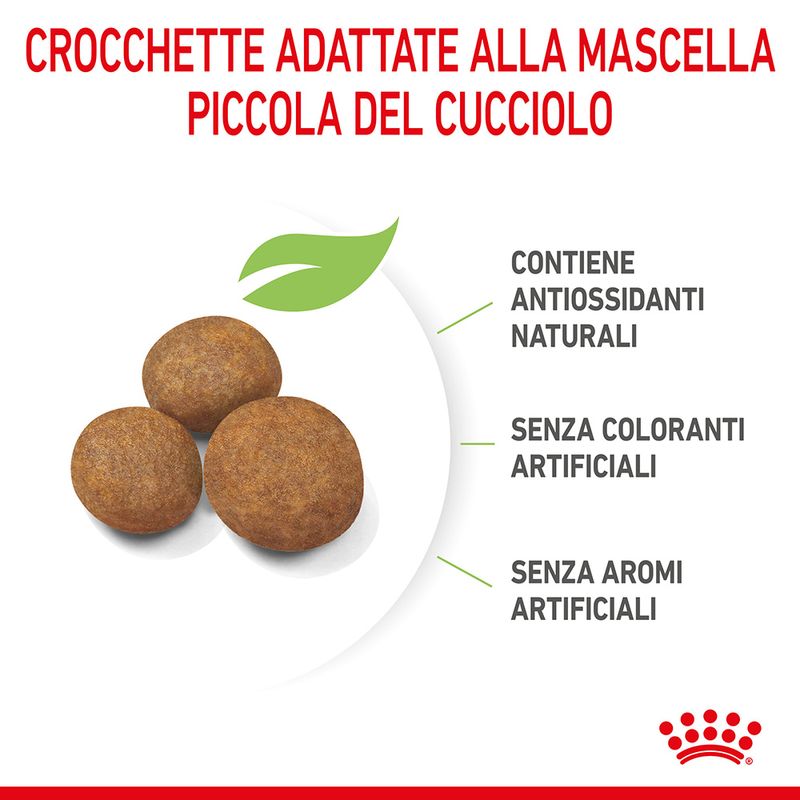 Royal Canin Maxi Puppy Crocchette per cane