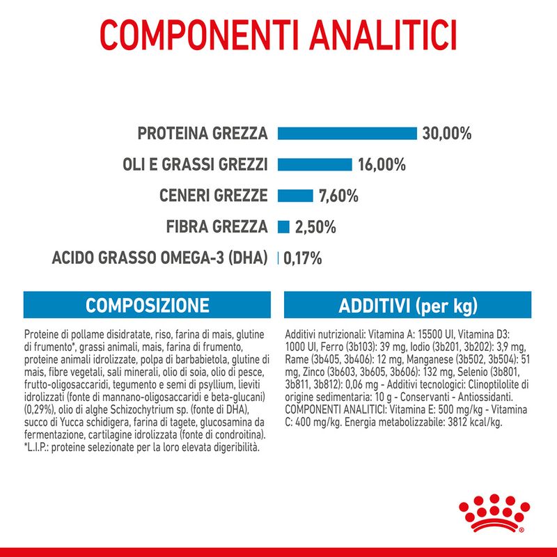 Royal Canin Maxi Puppy Crocchette per cane