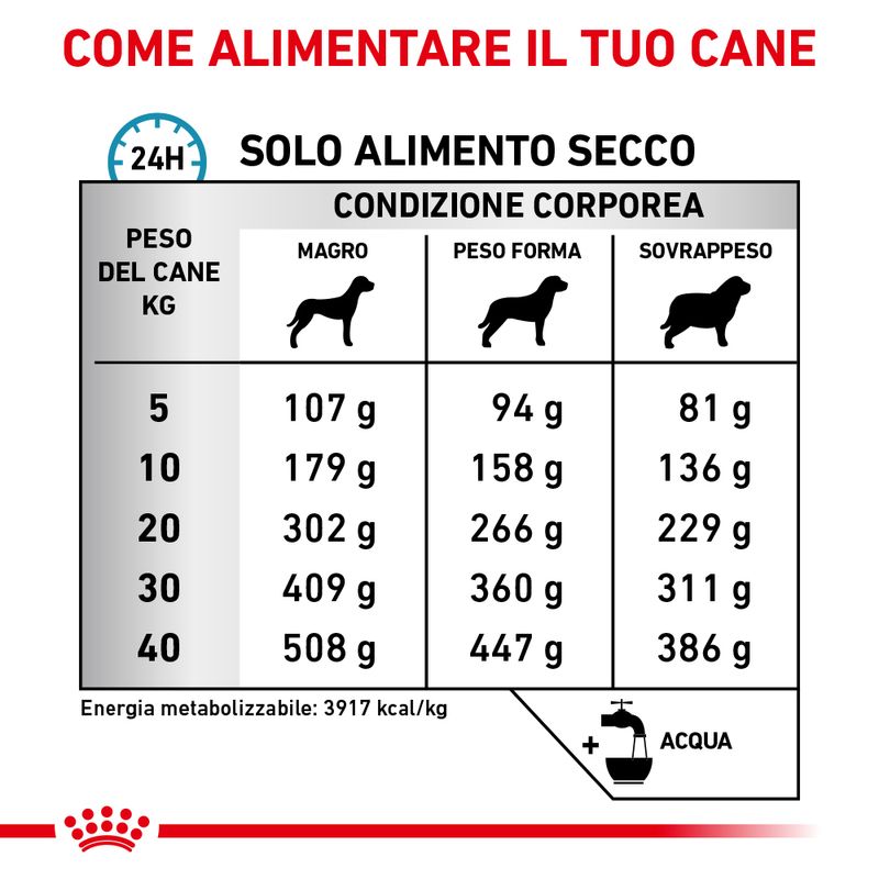Royal Canin Anallergenic Canine Veterinary