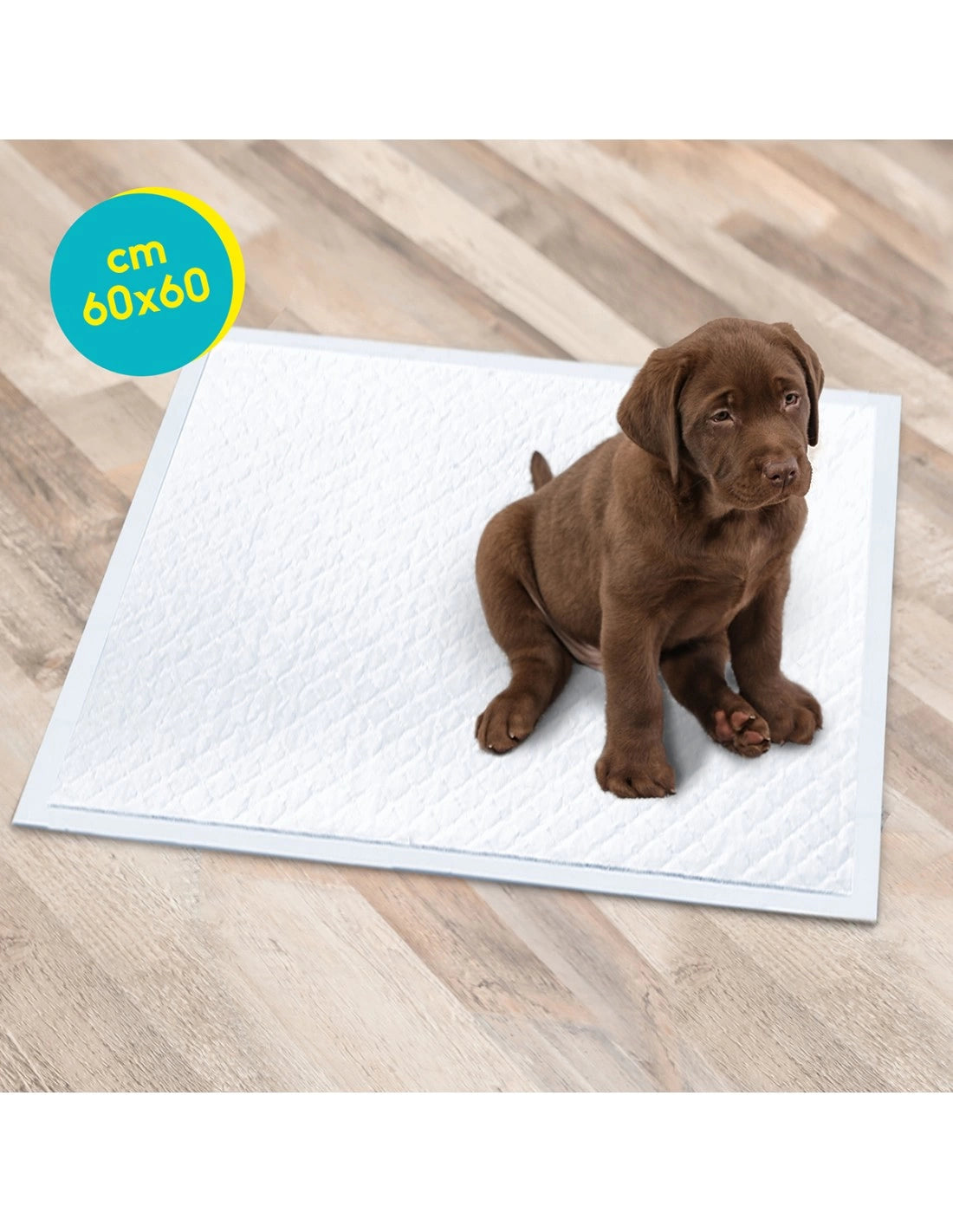 Tappetini assorbenti per Cani 60 x 60 cm