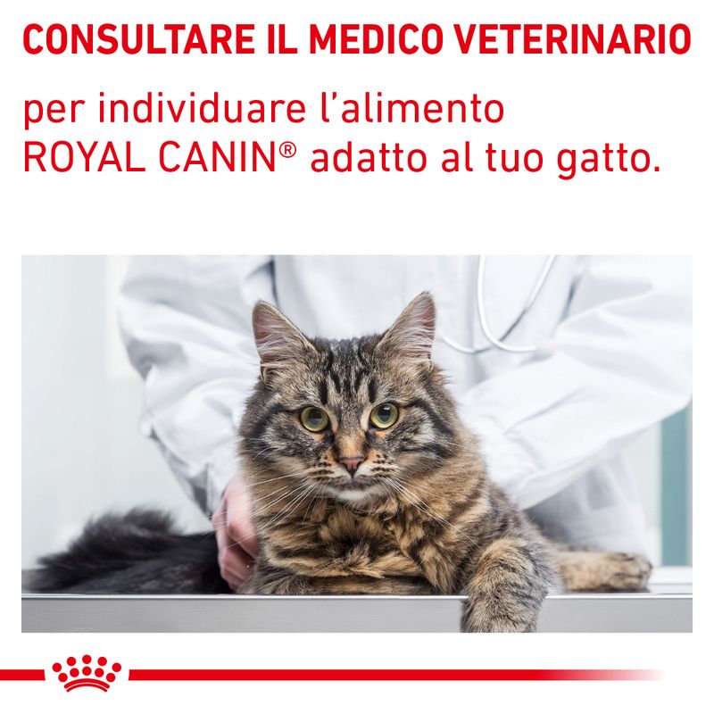 Royal Canin Urinary S/O Feline Veterinary umido in Salsa per gatti