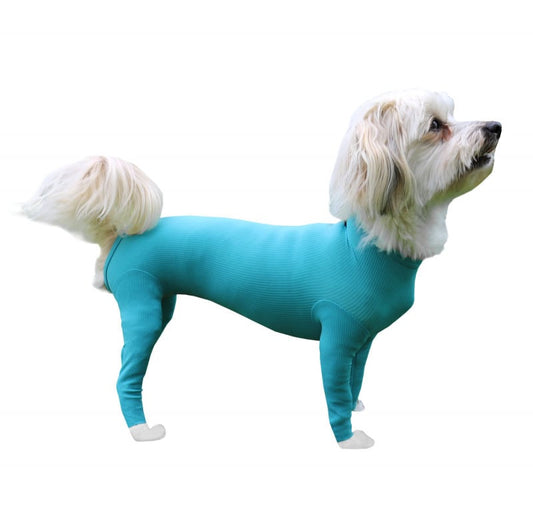 Body post-operatorio per cane "Legs & Zipper"