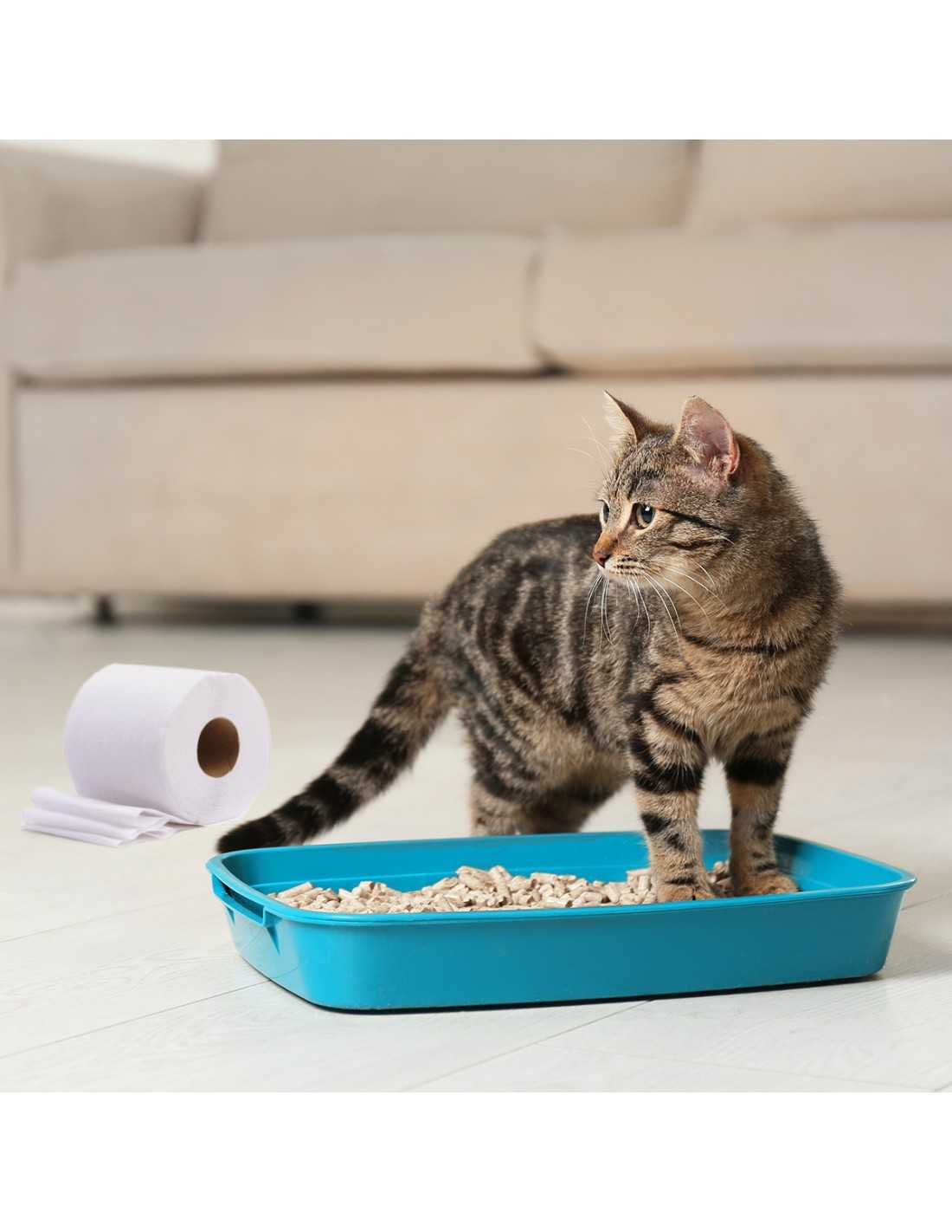 Lettiera per gatti in carta riciclata 12 l