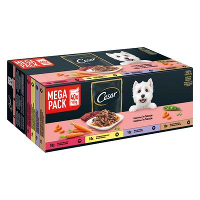 Cesar Le Delizie del Giorno Selezione in salsa Umido per cane