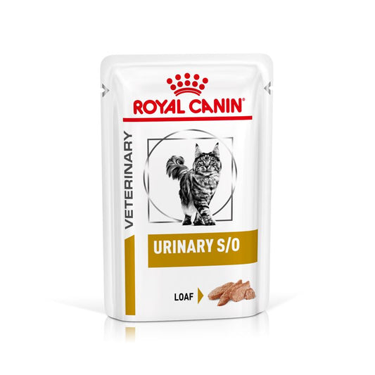 Royal Canin Urinary S/O Feline Veterinary umido in Salsa per gatti