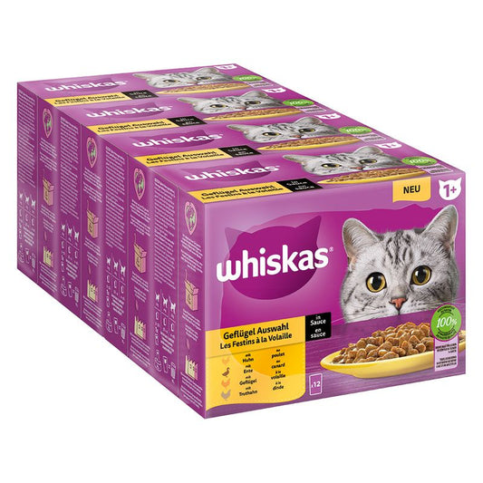 Megapack risparmio! Whiskas 1+ buste 96 x 85 g Alimento umido per gatto